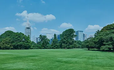 A lush, green urban park